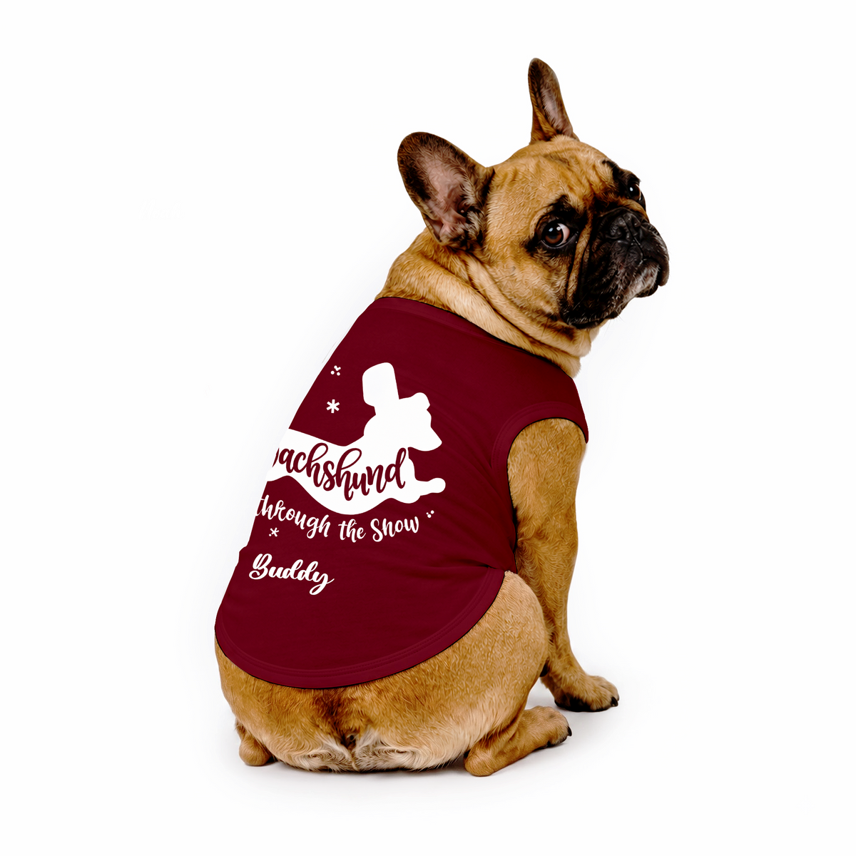 Merry Christmas Dachshund Matching Family Christmas Pajamas With Pet