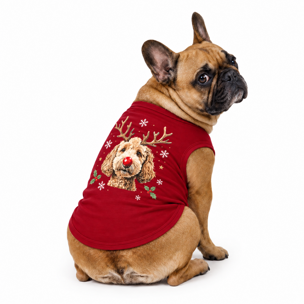 Festive Reindeer Dog Family Christmas Pajamas With Pet