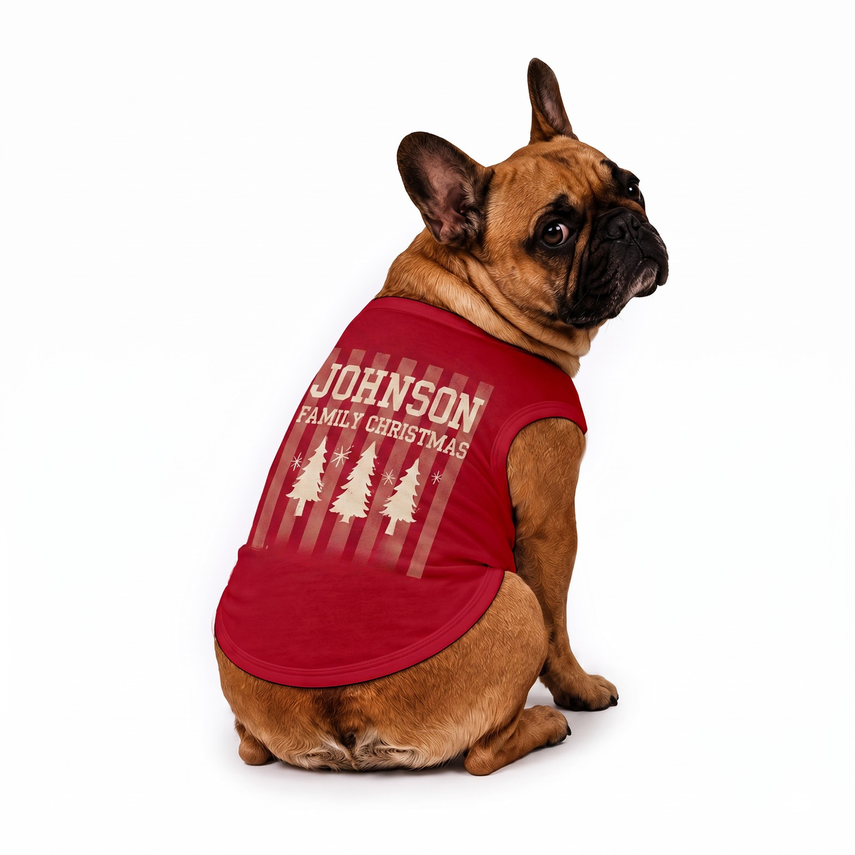 Cozy Personalized Family Name Christmas Tree Family Christmas Pajamas With Pet