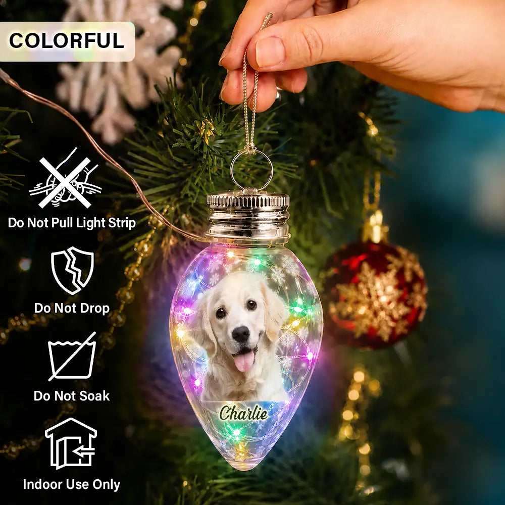 Christmas Gift For Family Kids Pet Lovers - Personalized Custom Photo Christmas Together Family Chili Bulb LED Light