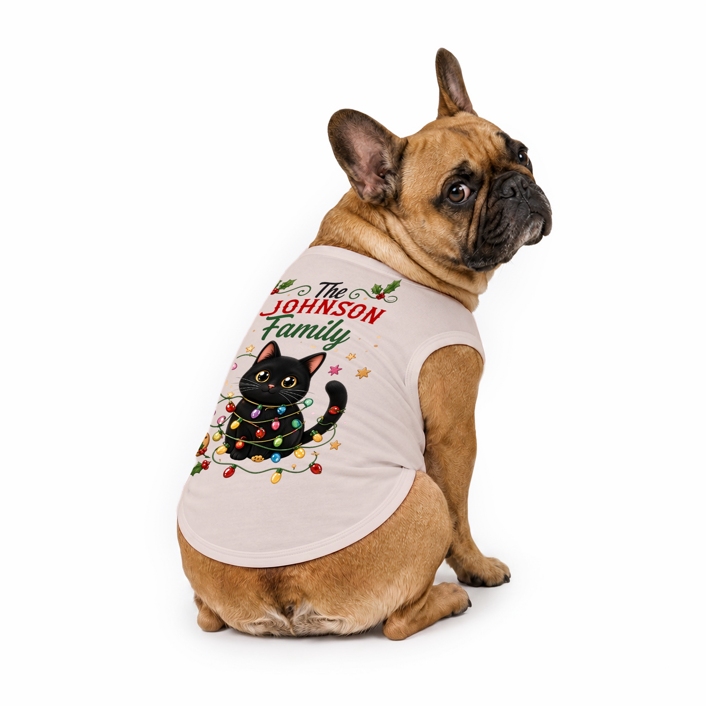 Personalized Black Cat Christmas Lights Matching Family Christmas Pajamas With Pet