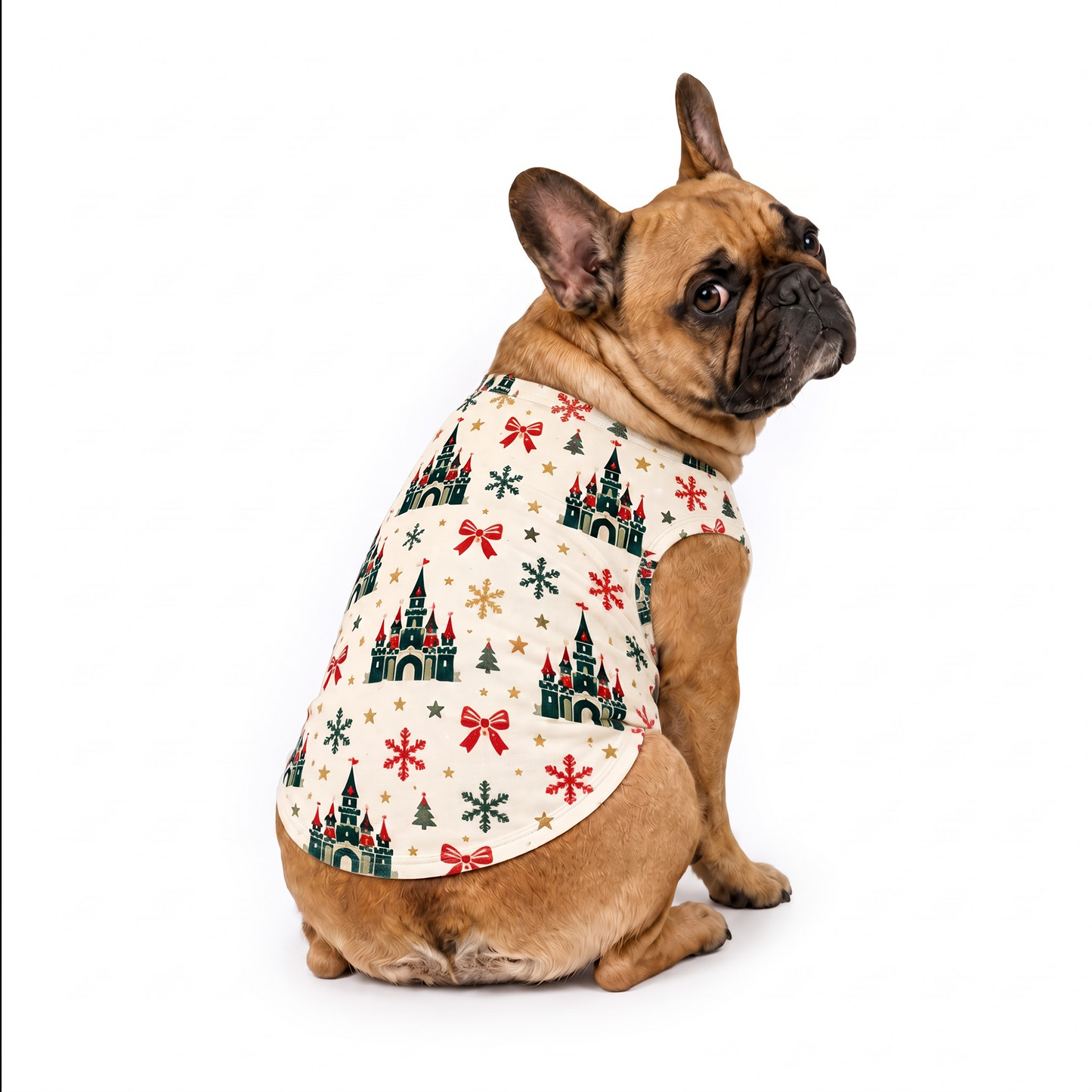 Festive Castle Crew Personalized Family Christmas Pajamas With Pet