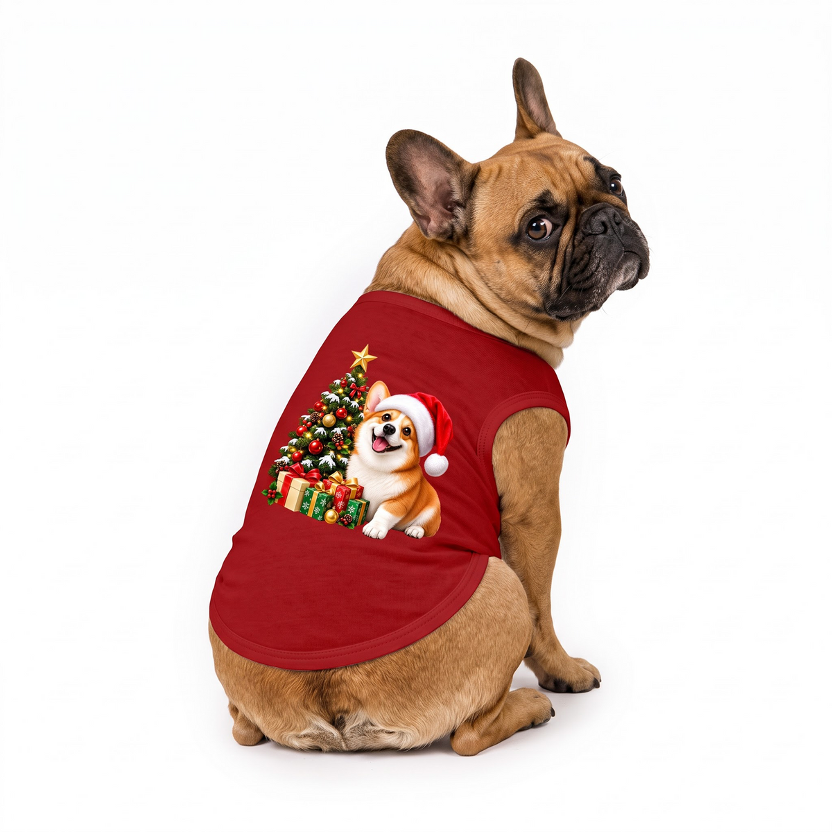Cute Corgi Christmas Family Matching Pajamas With Pet