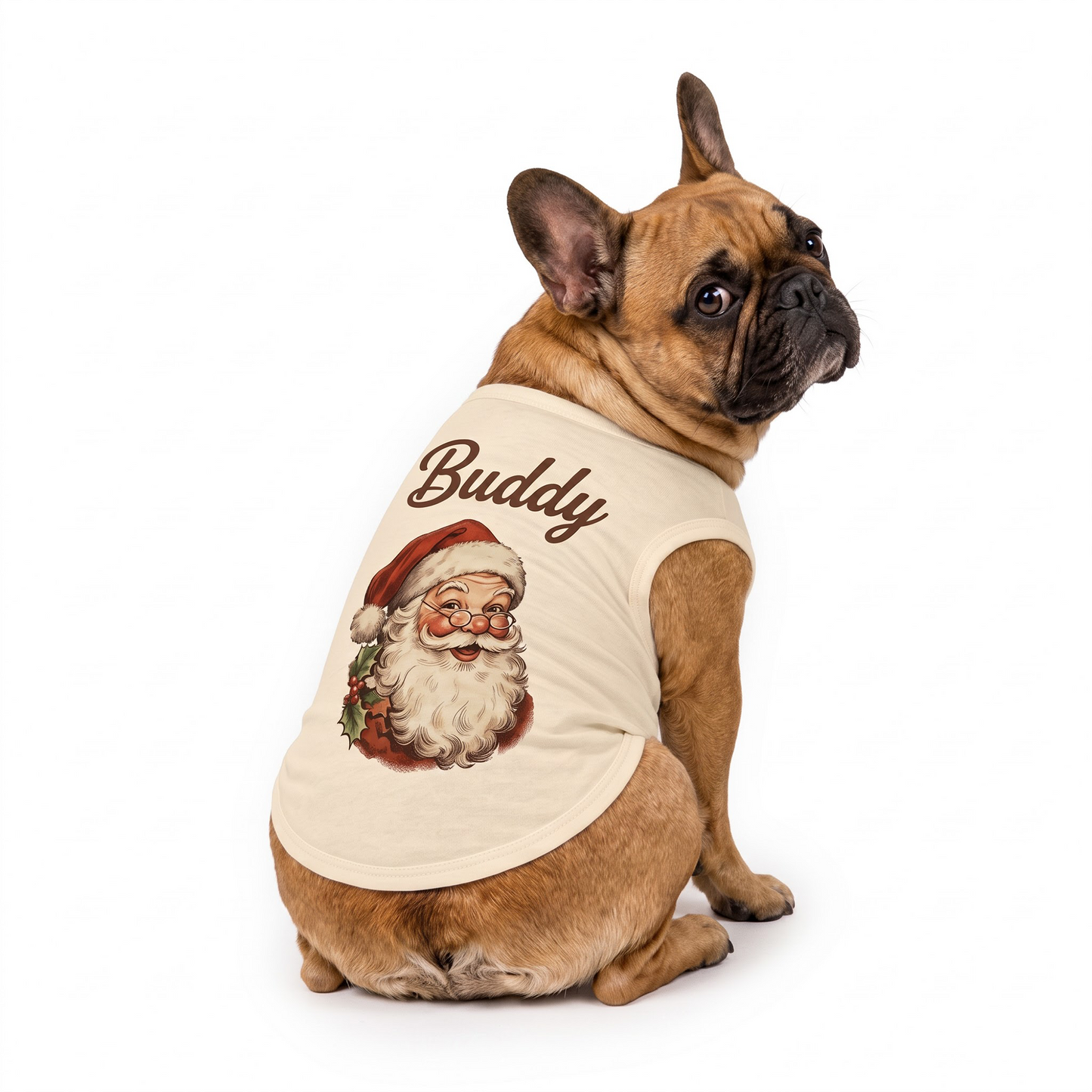 Custom Name Santa Claus Family Matching Christmas Pajamas With Pet