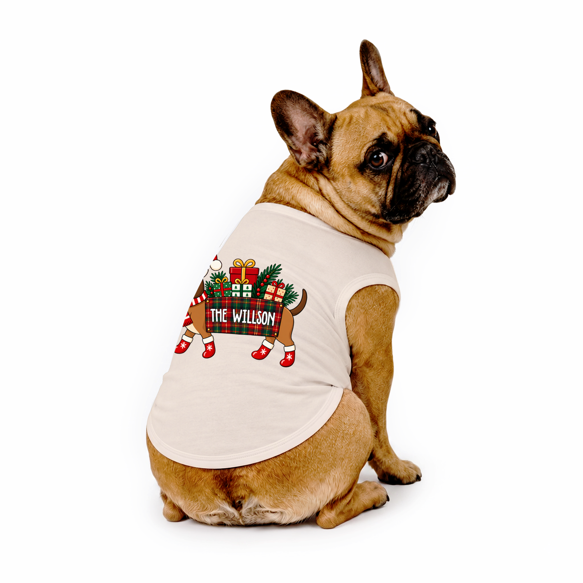 Personalized Festive Dachshund Christmas Gift Family Matching Christmas Pajamas With Pet