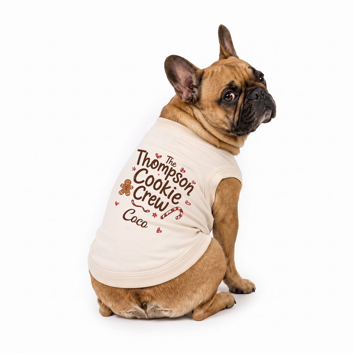 Cute Personalized Gingerbread Cookie Crew Family Christmas Pajamas With Pet