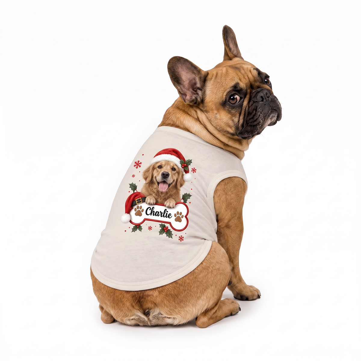 Cute Personalized Pet Santa Hat Plaid Family Christmas Pajamas With Pet
