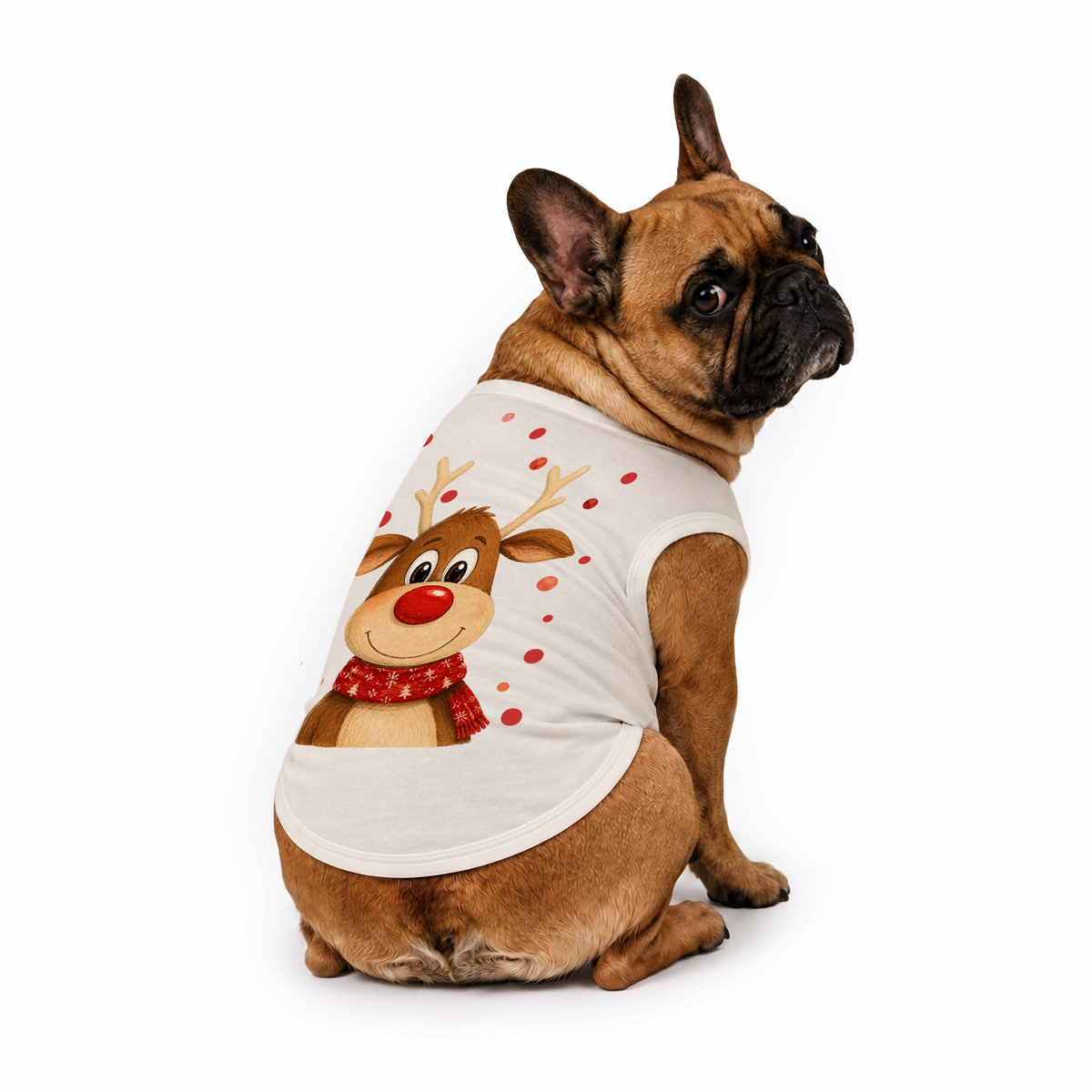 Cute Reindeer Family Matching Christmas Pajamas With Pet