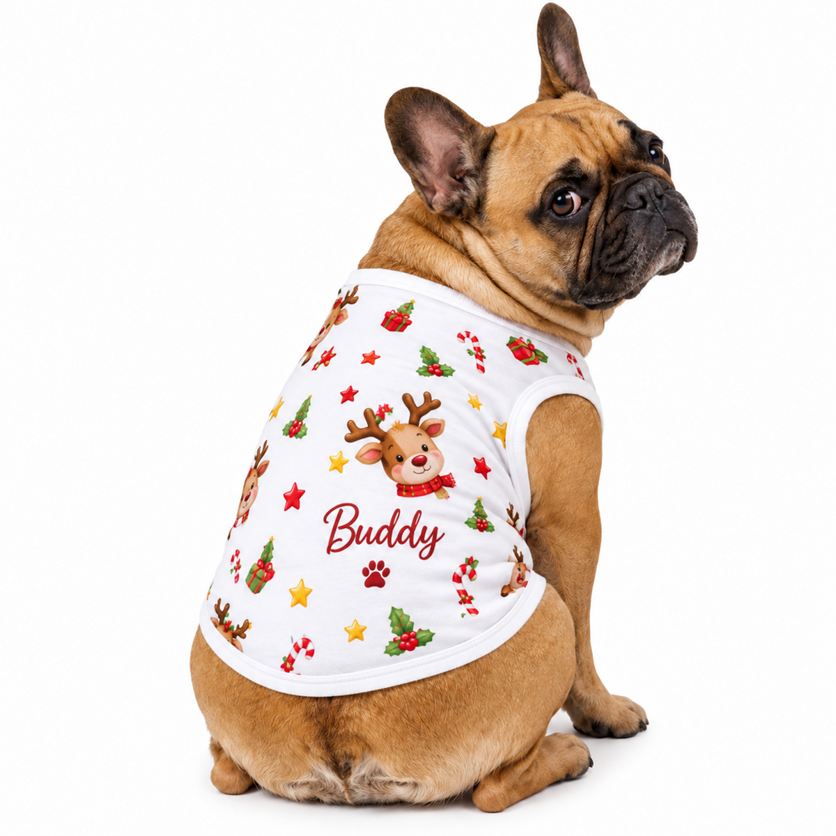 Custom Name Family Christmas Reindeer Matching Pajamas With Pet