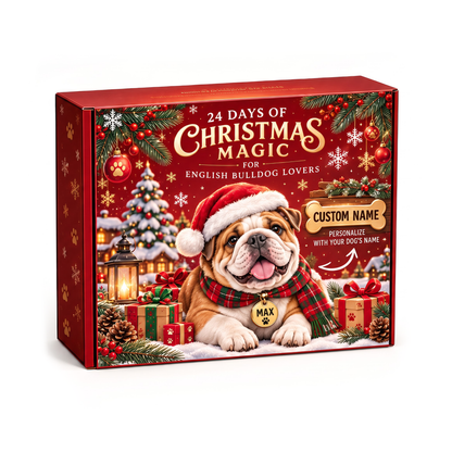 Personalized English Bulldog 24 Days Christmas Advent Calendar Bracelet Set With 24 Charms