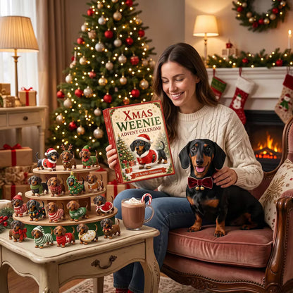 2D Dachshund Christmas Advent Calendar 2026, 24-Day Dog Lover Countdown, Cute Wiener Dog Christmas Gift