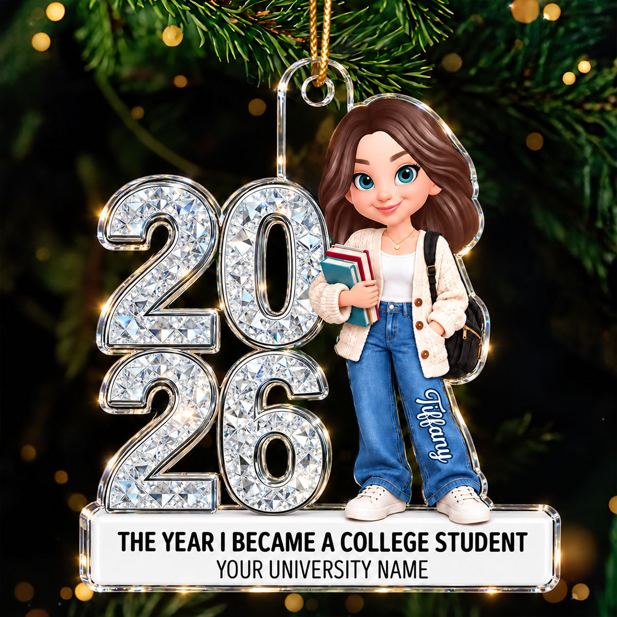 The Year I Became A College Student - Personalized Acrylic Ornament - Christmas Gift For College Students, Freshmen, Son, Daughter