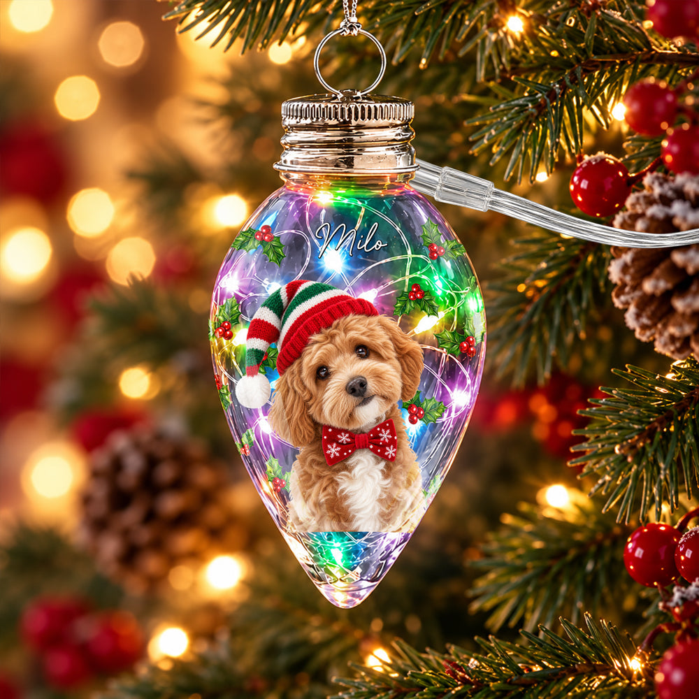Custom Photo & Name Pet Dog Portrait With Holly Snowflake Poinsettia Chili Bulb LED Light HO82 904080