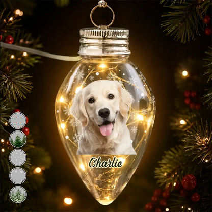 Christmas Gift For Family Kids Pet Lovers - Personalized Custom Photo Christmas Together Family Chili Bulb LED Light