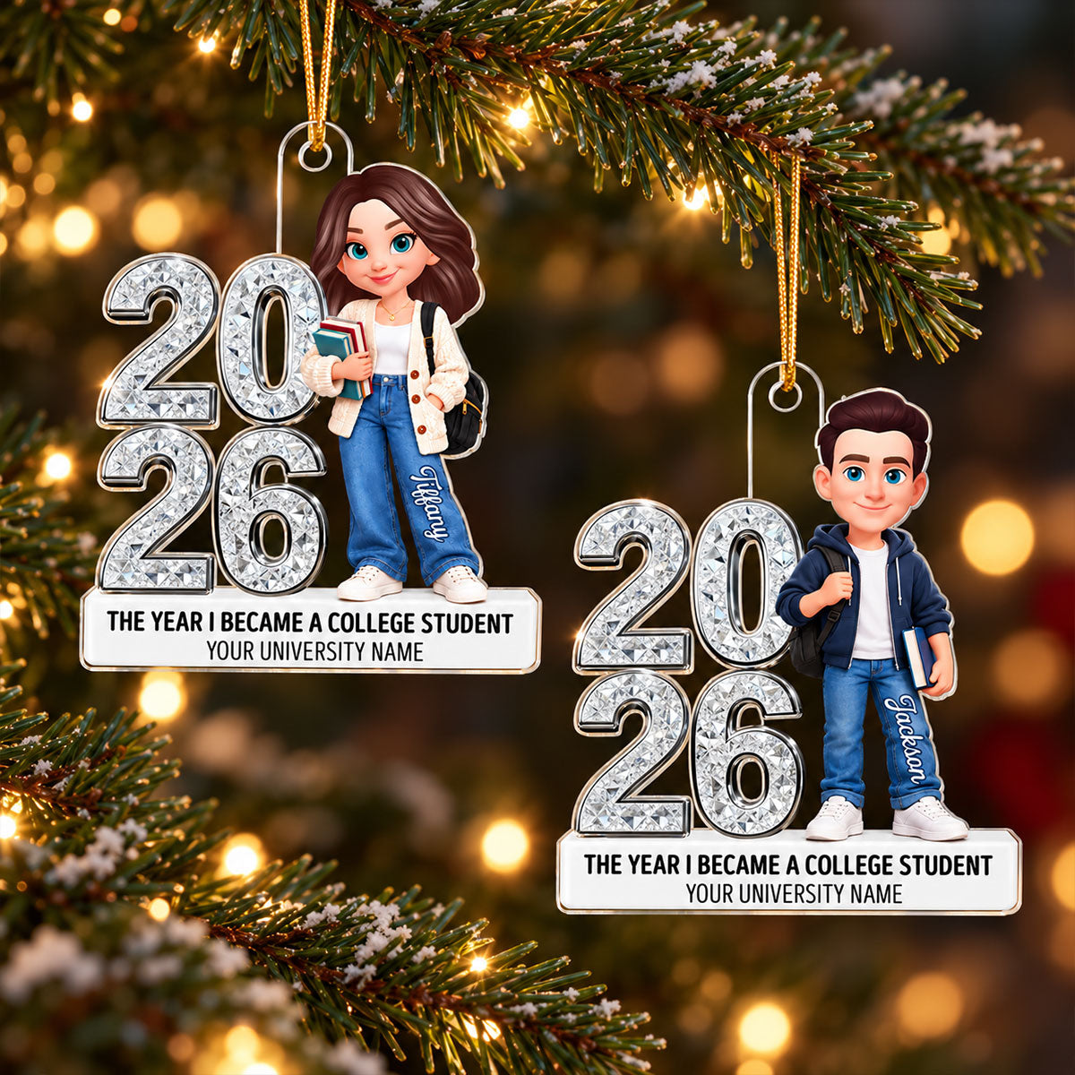 The Year I Became A College Student - Personalized Acrylic Ornament - Christmas Gift For College Students, Freshmen, Son, Daughter