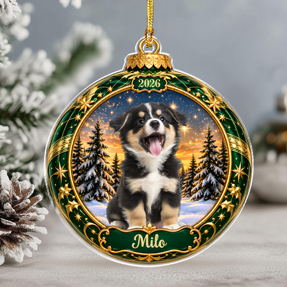 Custom Dog Cat Photo Acrylic Ornament Christmas Tree Decor HA75 919524