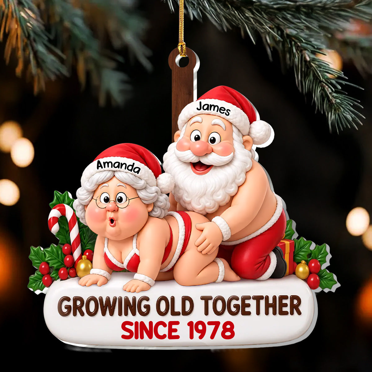 Santa Couple Goals Forever - Personalized 1-Layer Acrylic Ornament