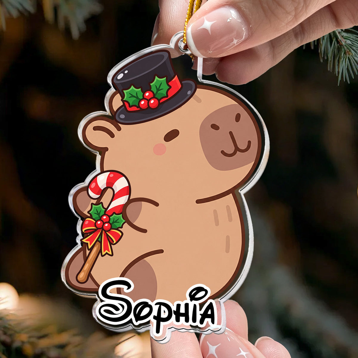Cute Capybara Christmas Gift For Capybara Lovers - Personalized Ornament
