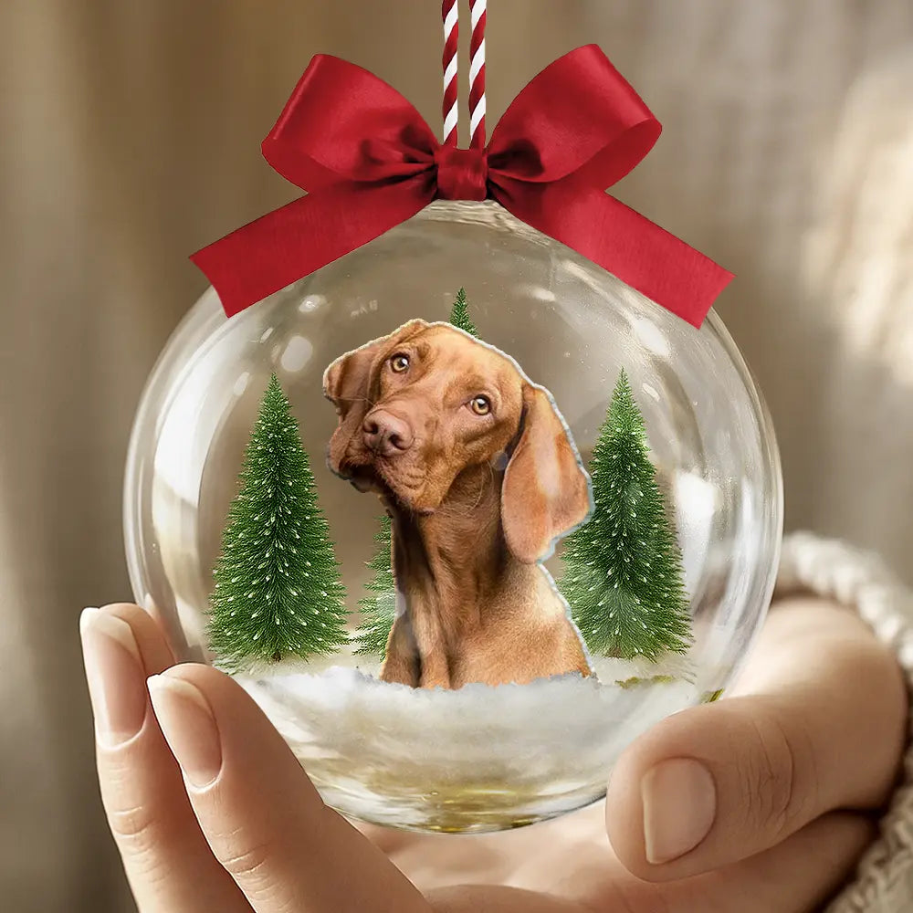 Custom Photo Christmas Pet Face Dog Cat Lover - Personalized 3D Acrylic Ball Ornament