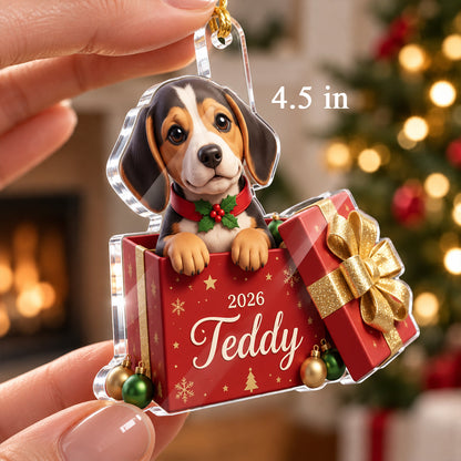 Custom Dog Cat Pet inside Gift Box - Personalized Acrylic Ornament - Christmas Gift for Dog Cat Mom