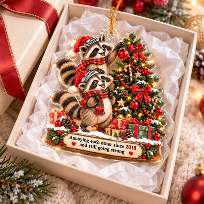 Raccoon Couple Annoying Each Other - Personalized Acrylic Ornament - Funny Christmas Gift for Him, for Her
