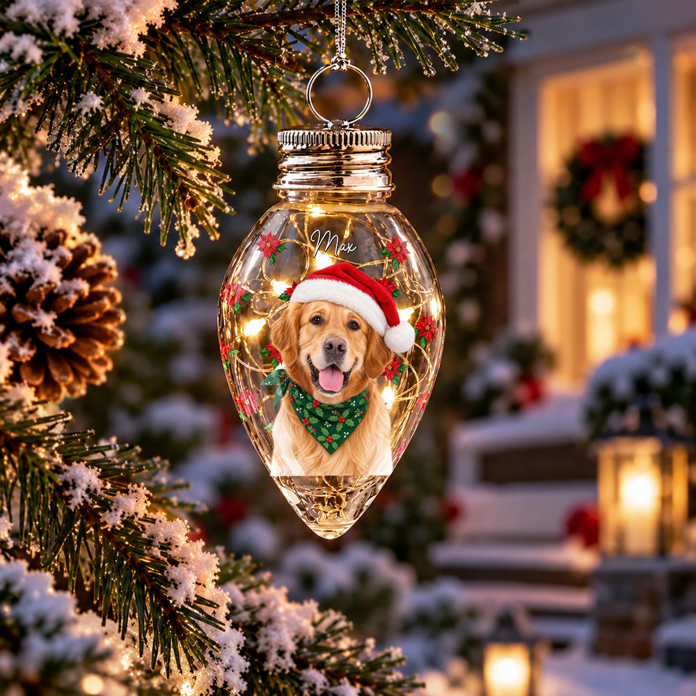 Custom Photo & Name Pet Dog Portrait With Holly Snowflake Poinsettia Chili Bulb LED Light HO82 904080
