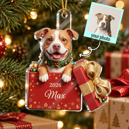 Custom Dog Cat Pet inside Gift Box - Personalized Acrylic Ornament - Christmas Gift for Dog Cat Mom