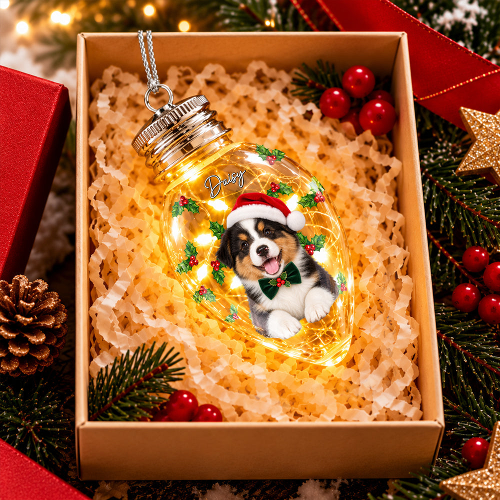 Custom Photo & Name Pet Dog Portrait With Holly Snowflake Poinsettia Chili Bulb LED Light HO82 904080