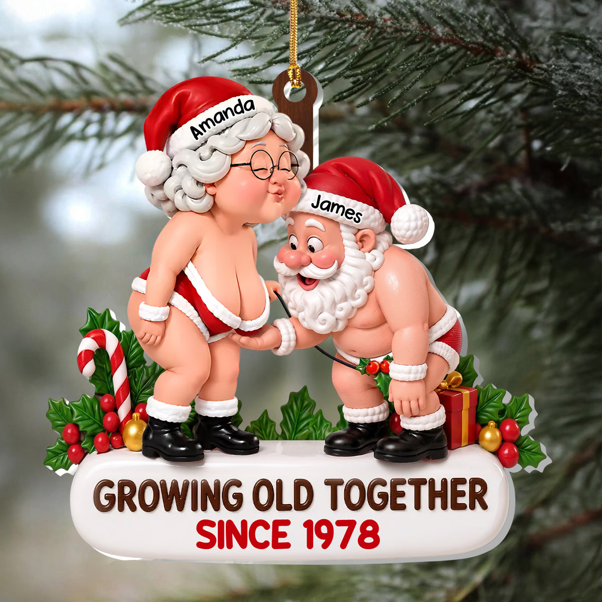 Santa Couple Goals Forever - Personalized 1-Layer Acrylic Ornament