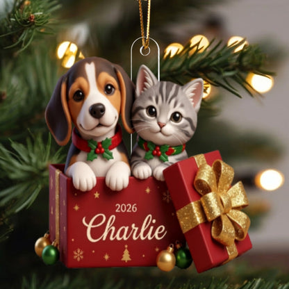 Custom Dog Cat Pet inside Gift Box - Personalized Acrylic Ornament - Christmas Gift for Dog Cat Mom