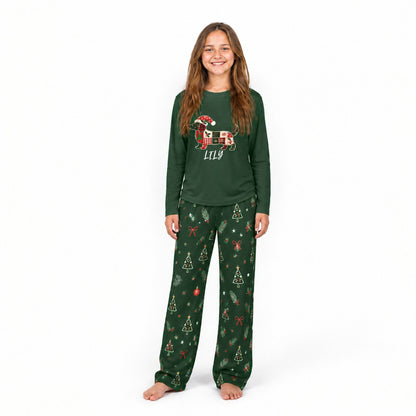 Custom Name Dachshund Christmas Family Matching Pajamas With Pet