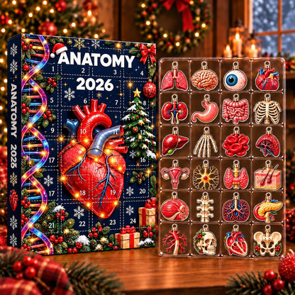 Anatomy Advent Calendar 2026 – Christmas Human Body Ornaments, Educational Medical Countdown Gift for Students, Doctors & Science Lovers