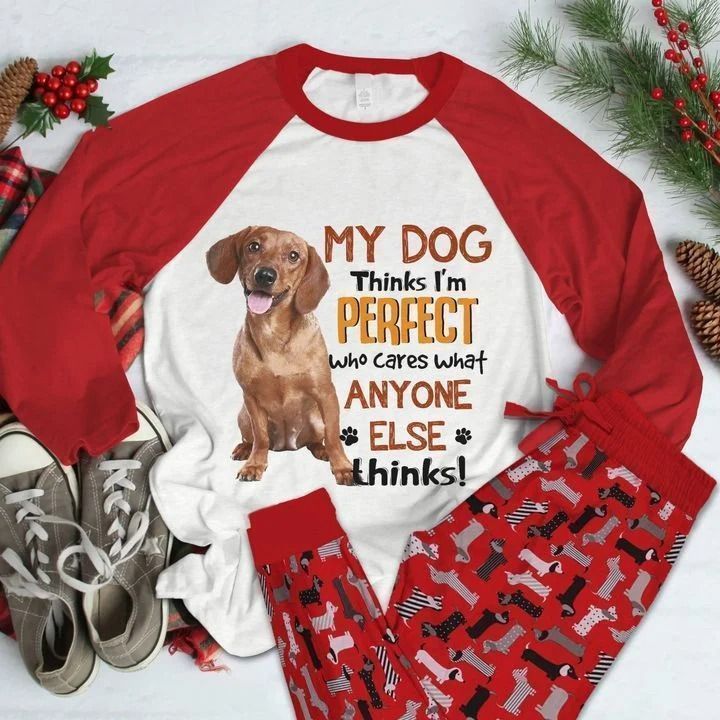 Dachshund Perfect Red Unique Pajama Set |Sleepwear Pjs Sets | Raglan Shirt Pants Set